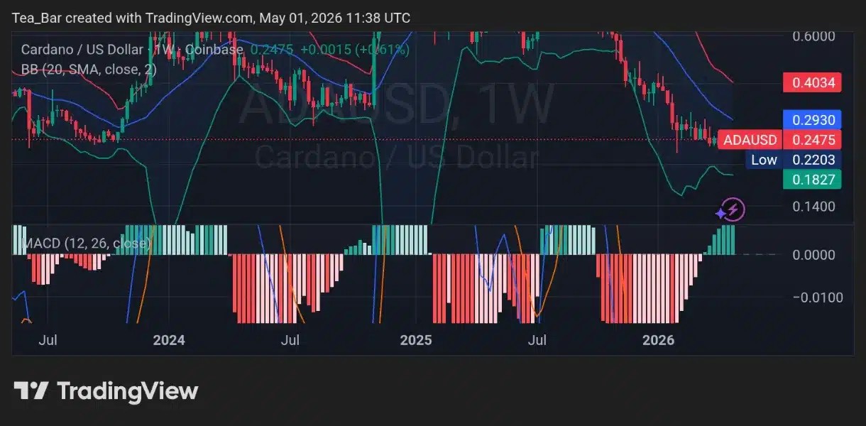 Whales Bought 10 Million Cardano (ADA) in 3 Days — Smart Money Positioning Early? image 2