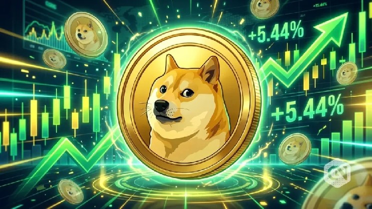 Dogecoin Price Jumps 4%, But a Correction Might Be Coming