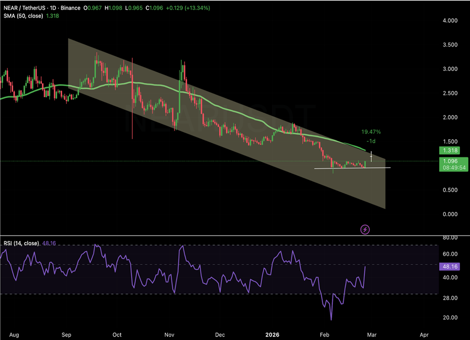 Tiền điện tử liên quan đến AI đáng chú ý khi Nvidia công bố báo cáo thu nhập hàng quý image 2