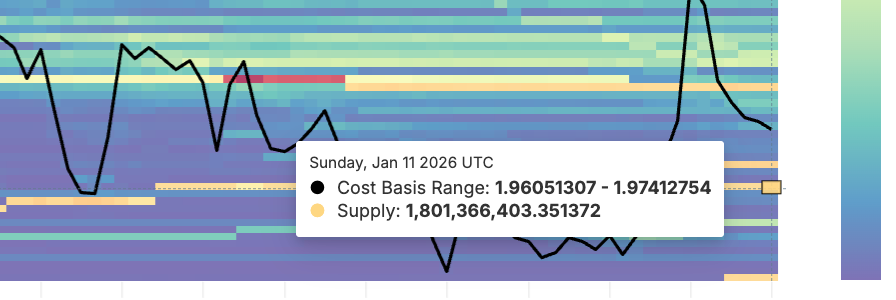 Holder dài hạn tích cực bắt đáy bất chấp giá XRP giảm 15% trong một tuần image 3