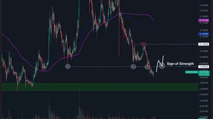 Dogecoin Price Analysis: Can $0.073 Support Trigger 10x Rally?