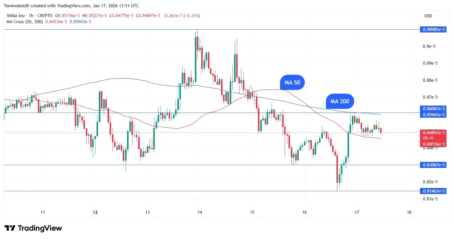 Shiba Inu Price Shows Death Cross Pattern image 2