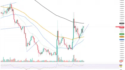 167 Billion Shiba Inu (SHIB) Traded in 24 Hours: Rally Is Ending