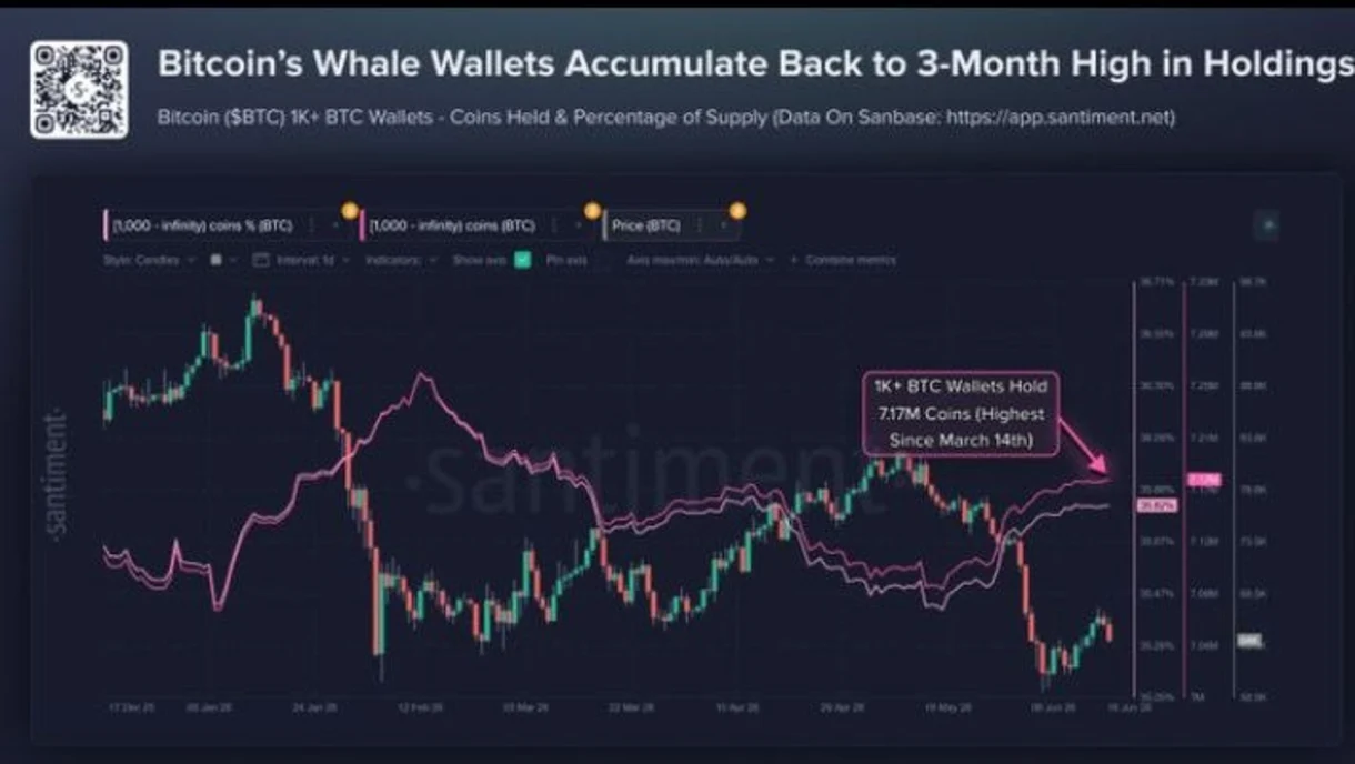 Các tay chơi lớn nhất của Bitcoin đang có động thái bất thường, báo hiệu biến động lớn sắp tới? image 3