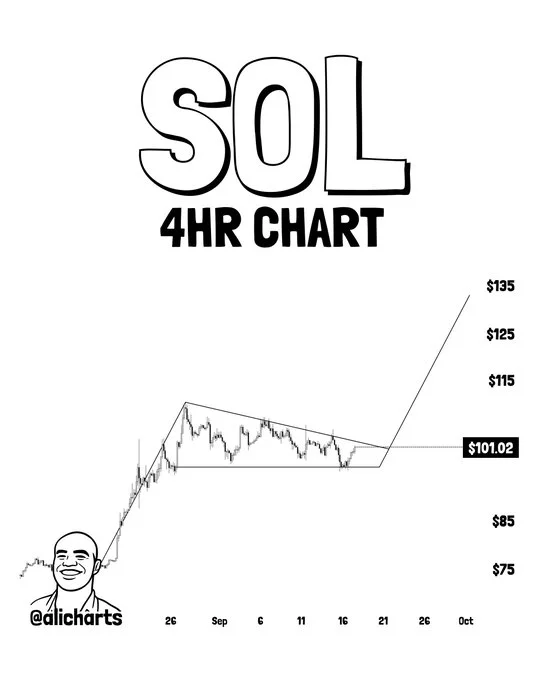 Solana Fundamentals Strengthen Despite Recent Price Setback image 0