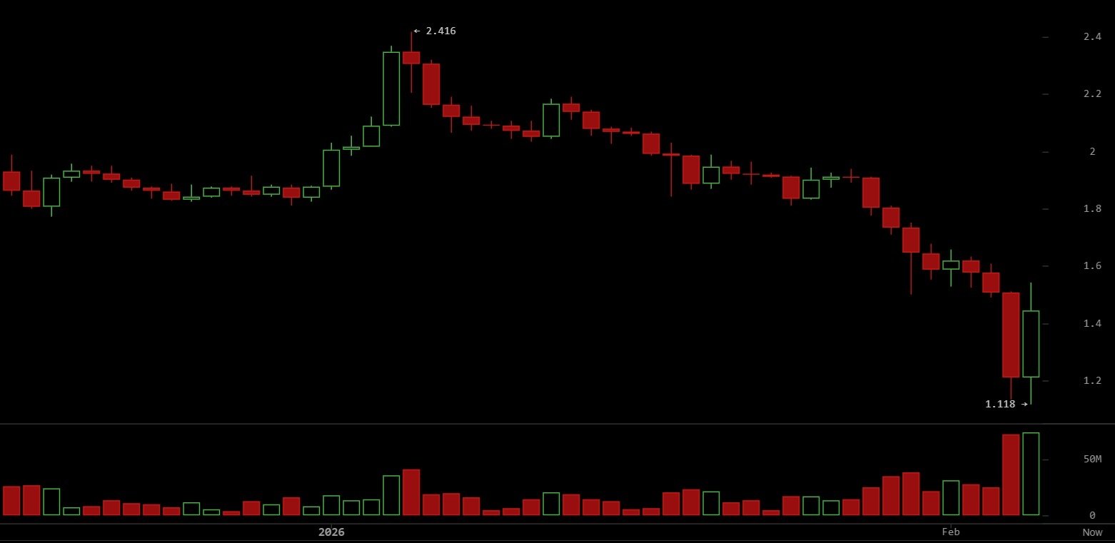 XRP Rebounds as Whale Accumulation and Network Activity Signal Price Reversal image 2