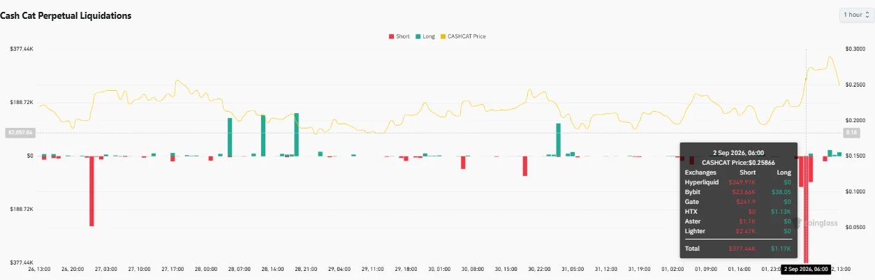 Assessing Cash Cat’s 29% rally as liquidations hit $611K: What’s next?
