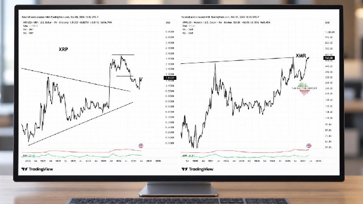 Peter Brandt Favors Monero Over XRP Despite Bullish Price Targets image 0