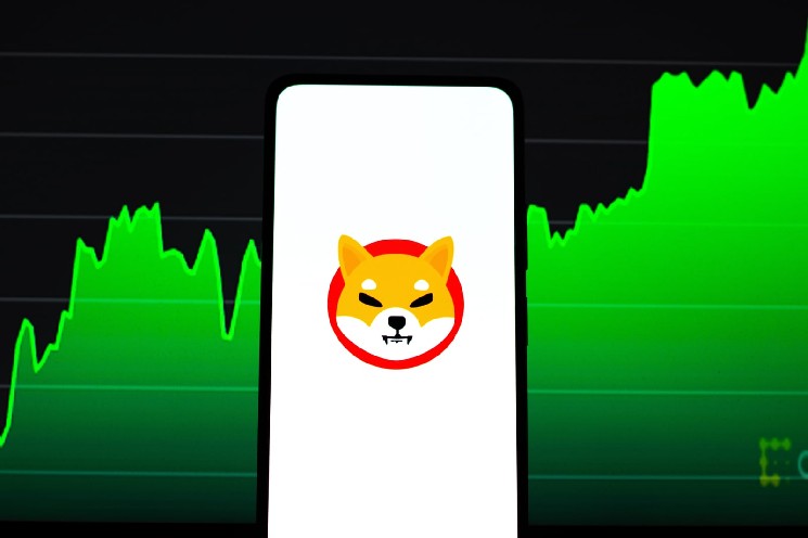 July May Be Month Shiba Inu (SHIB) Holders Waited For, Price History Suggests image 1