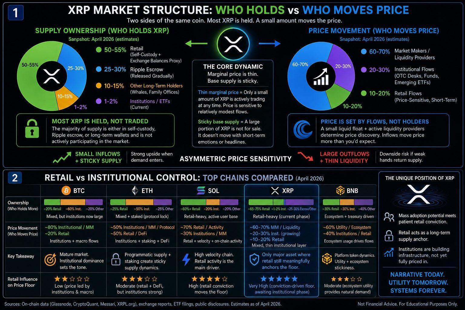 Data Shows Retail Likely Supports 40-60% of XRP Price Floor