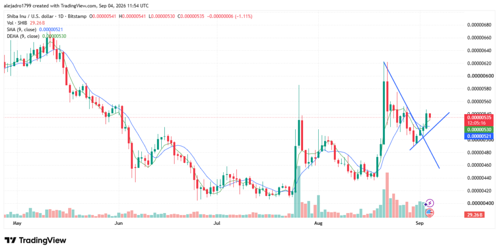 SHIB Tests Key Support as Short Activity Cools image 0