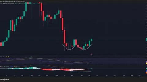 BNB price eyes double bottom pattern breakout, will it move past $700?