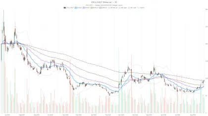 Circle Stock Nears Key Resistance at $94.57 as RSI Signals Overbought