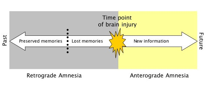 Transformer已死？DeepMind正在押注另一条AGI路线 image 9