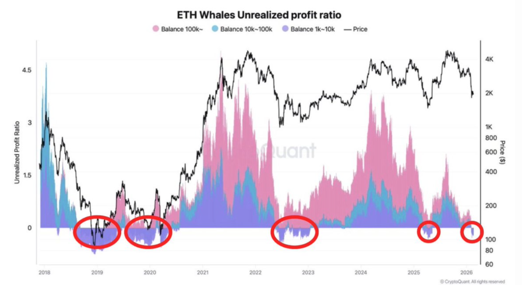 Ethereum Price Crash or Cycle Bottom? Whale Data May Reveal the Truth image 0