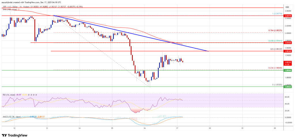 Die Erholung des XRP-Preises wirkt fragil – Können die Bullen den Preisdeckel durchbrechen?
