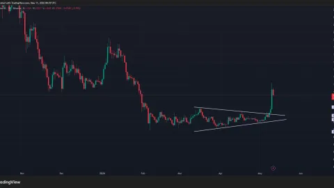 Why did Sui price soar 40% today?