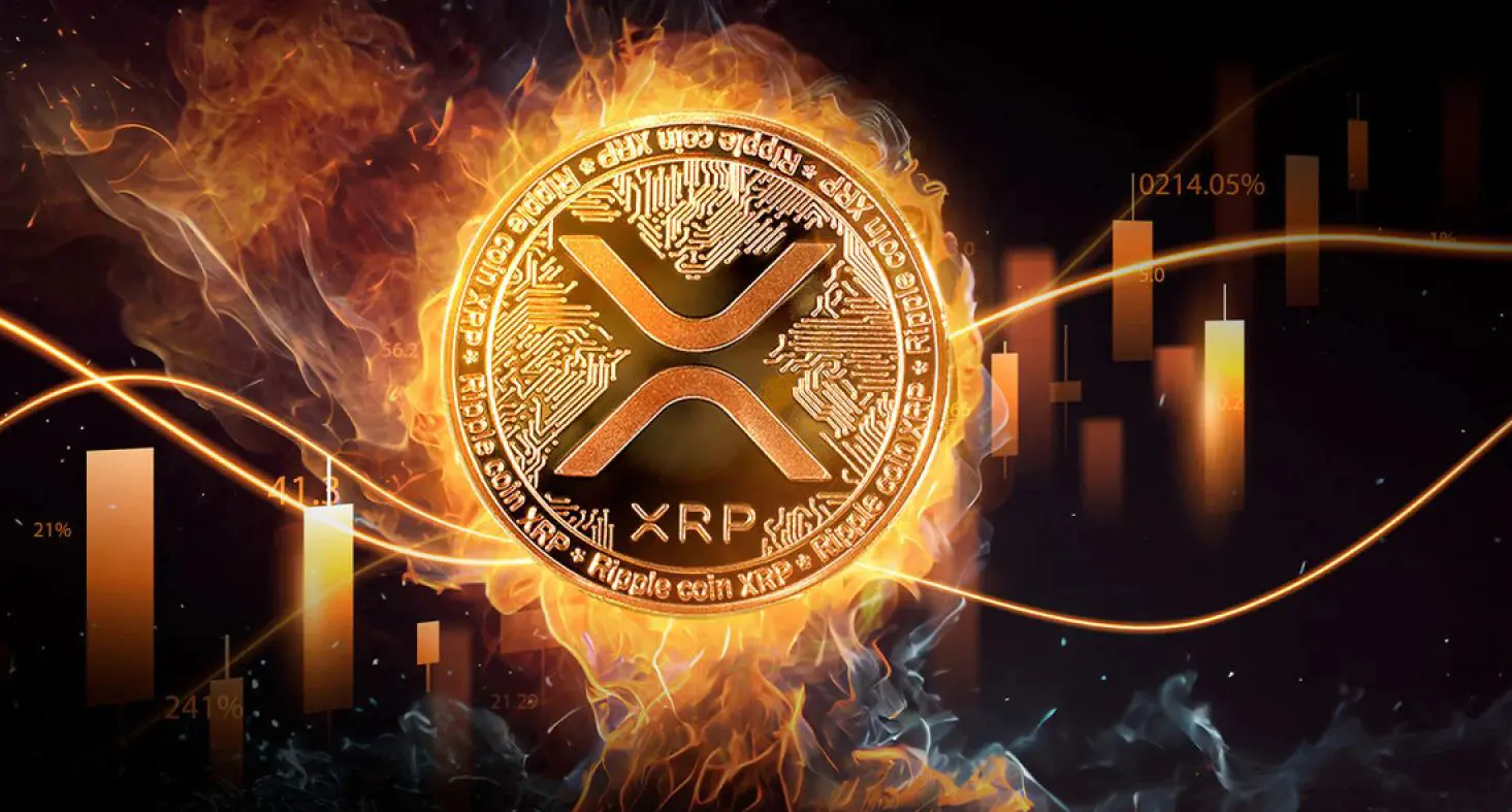 Cá voi Ripple tăng mạnh giao dịch XRP, tín hiệu cho một đợt tăng mới?