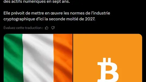 Cryptomonnaies : L’Irlande veut renforcer sa législation contre le blanchiment d’argent