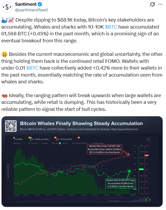 Whales, sharks buy 61,000 BTC in a month amid global uncertainty