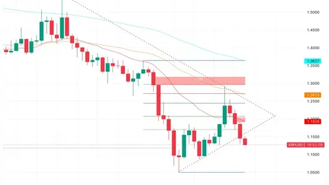 XRP Price Prediction: 30M XRP Left Whale Wallets as Active Addresses Crash 50%