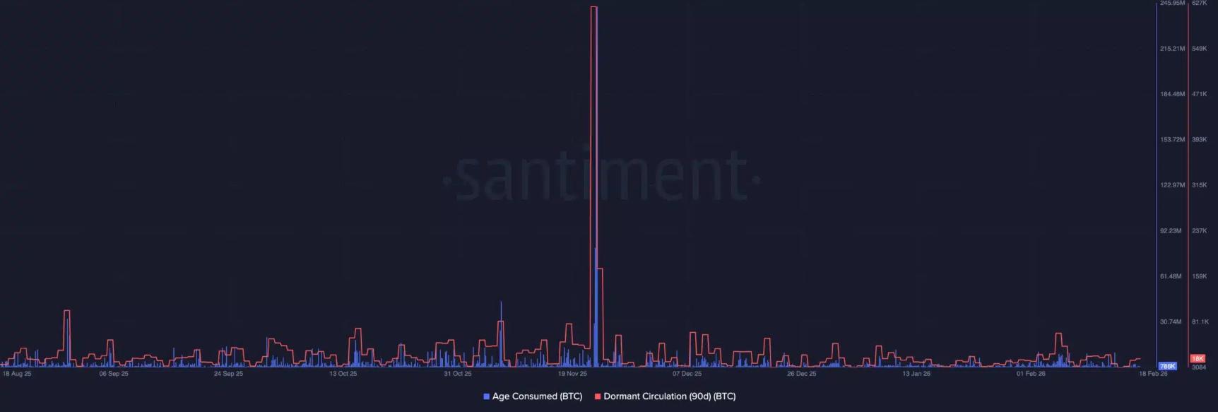 Bitcoin 2026 và nghịch lý thị trường kép: Cùng một tài sản, hai thế cực