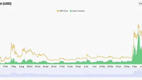 XRP’s Leverage Machine Turns on as Derivatives Volume Climbs