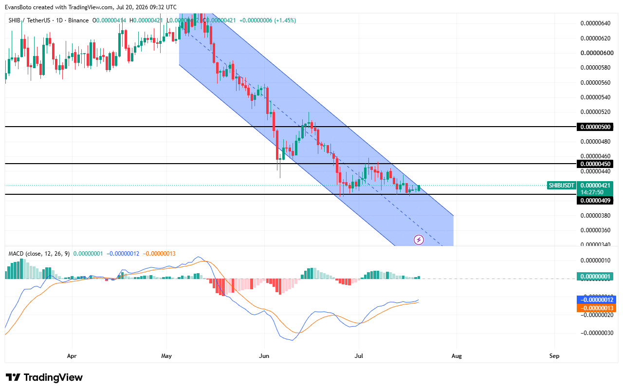 SHIB burns soar 350% as whales accumulate: Is a breakout next? image 2