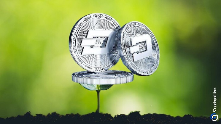 Dash price prediction 2026-2032: Is DASH recovering soon? image 1