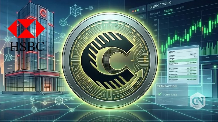 Canton Price Surges Toward Breakout After Spike of 10% image 1