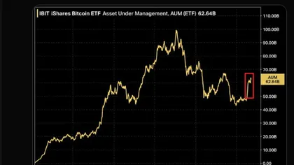 Bitcoin : Les ETF américains stoppent net leur série positive