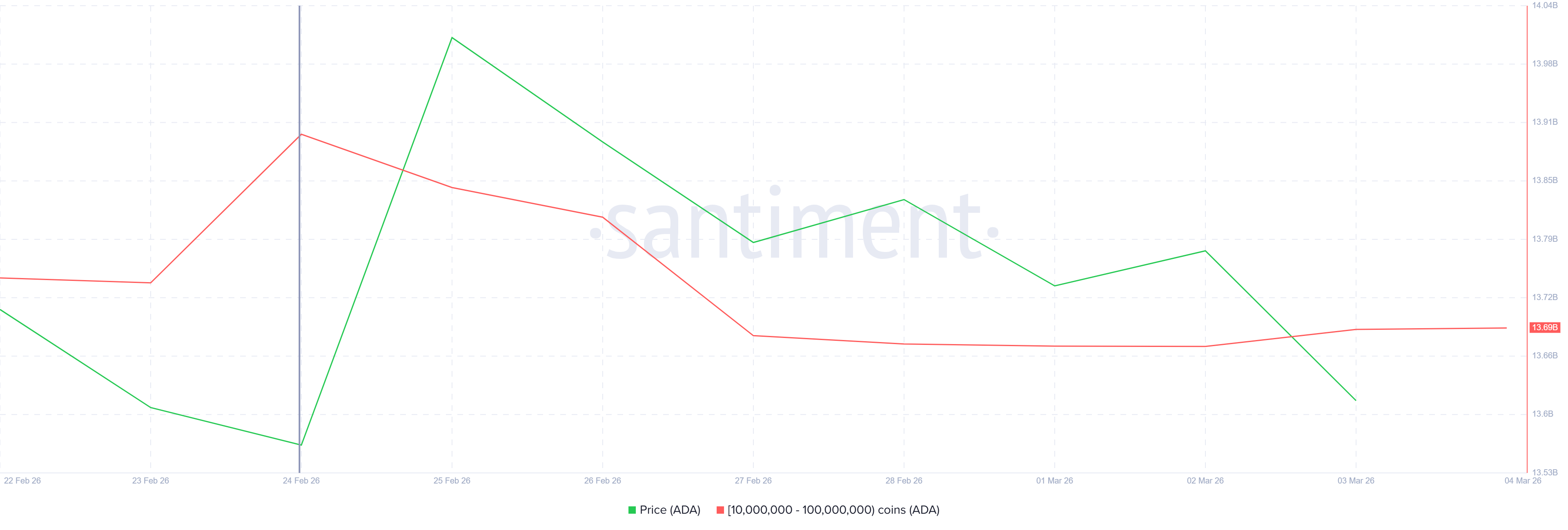 Cardano Whale Holding