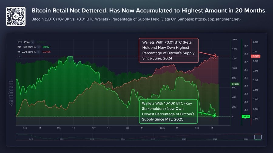 Robert Kiyosaki mua Bitcoin ở mức $67,000, trong khi cá voi bán tháo