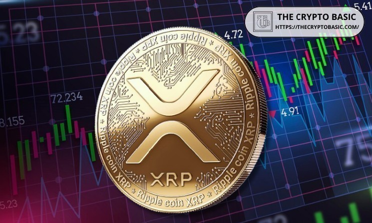 Long-term Signal Shows 2026 Could Be a Telling Year for XRP image 1