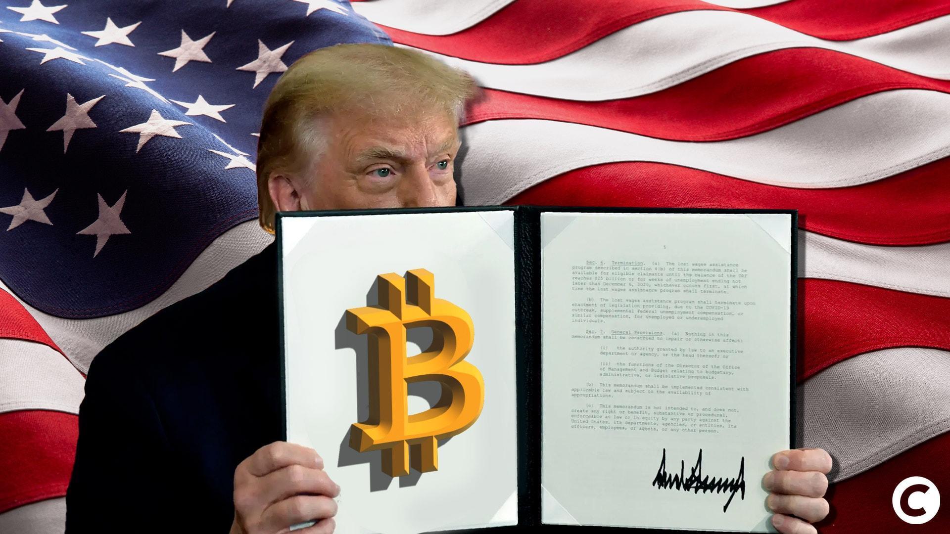 Une année 2025 riche en Bitcoin et crypto pour Donald Trump et sa famille image 3