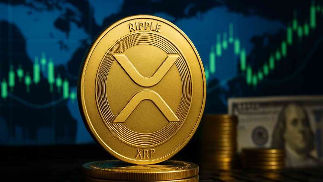 XRP price retreats to key support as momentum stalls image 0