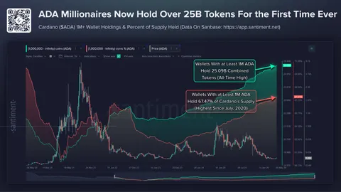 Cardano Whales Accumulate 25B ADA as Analyst Predicts Rally Toward $0.42