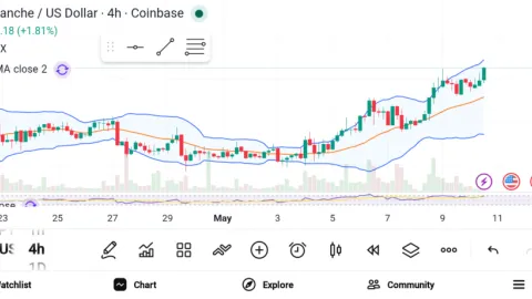 3 Best Cryptos to Invest in Before the Next Bull Run — XRP, AVAX, and ALGO
