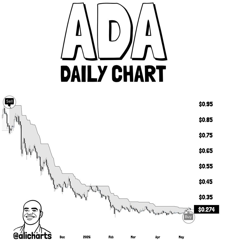 Cardano (ADA) Flashes Bullish Signal — Are Whales Positioning for a Big Move?