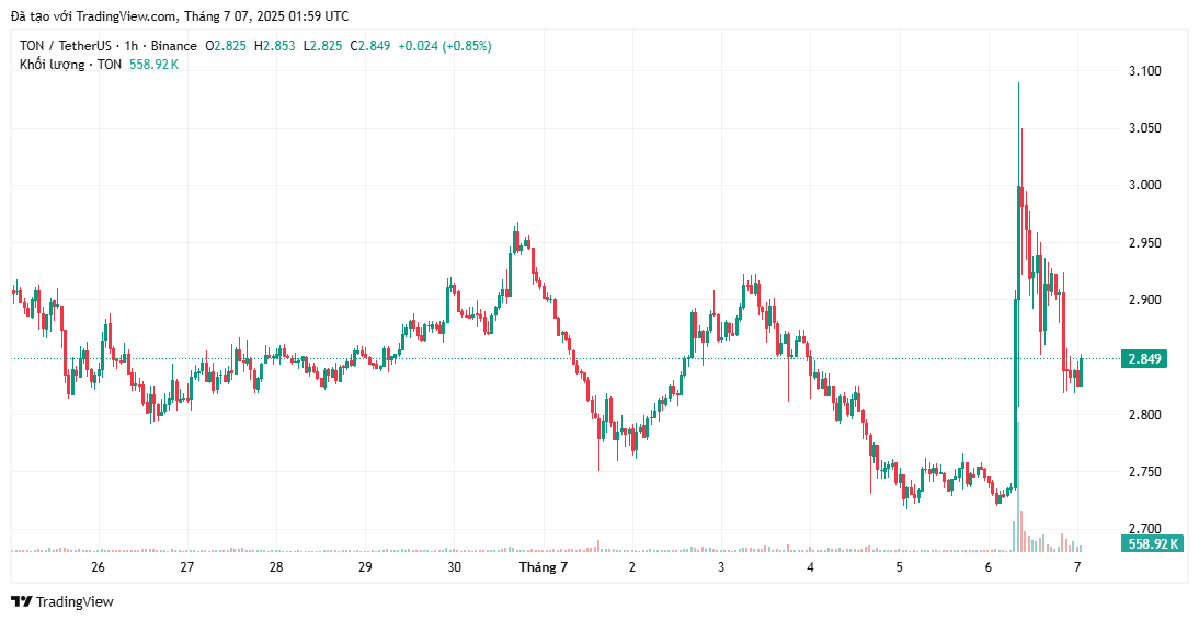 Giá TON giảm 6% sau khi chính quyền UAE từ chối yêu cầu cấp thị thực vàng image 0