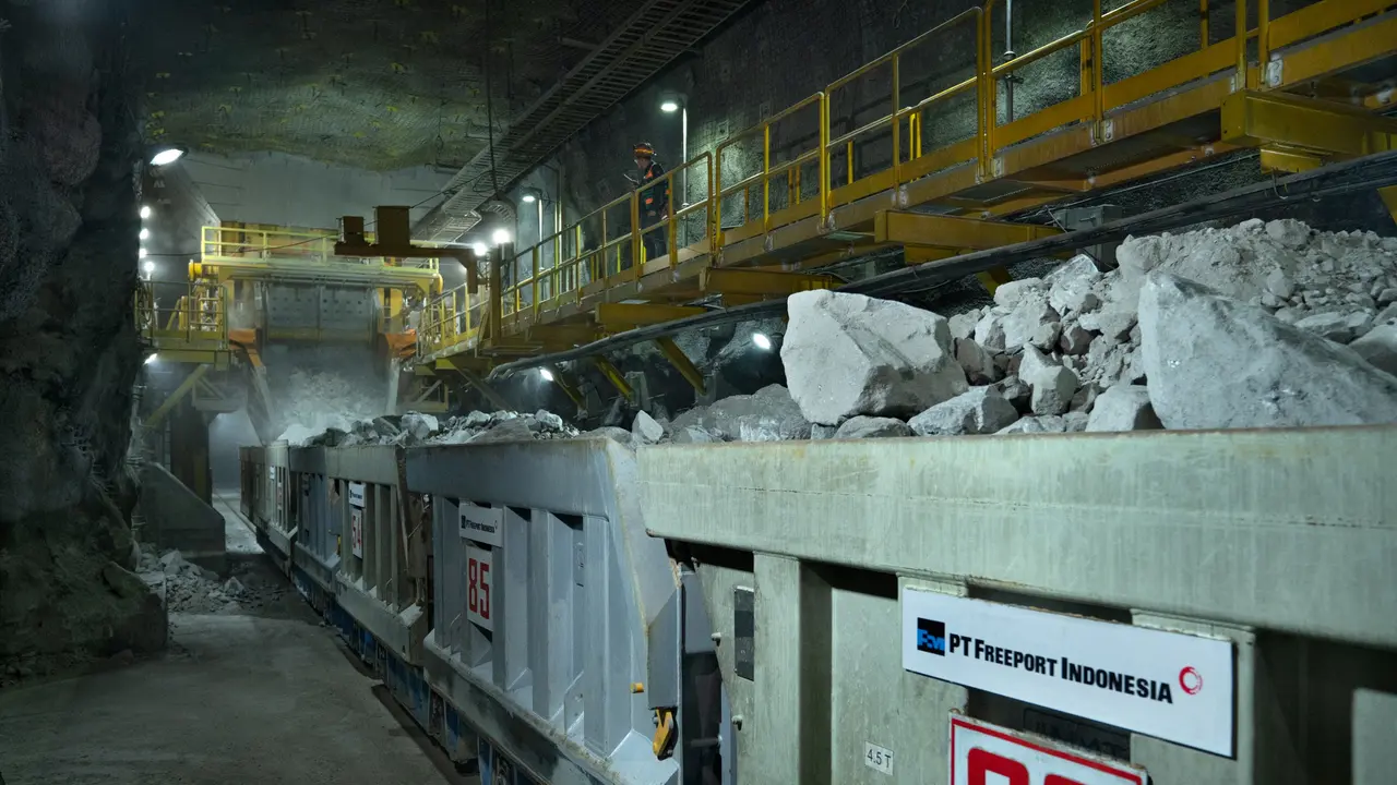 Freeport Indonesia Targetkan Tambang Kucing Liar Beroperasi 2029 image 0