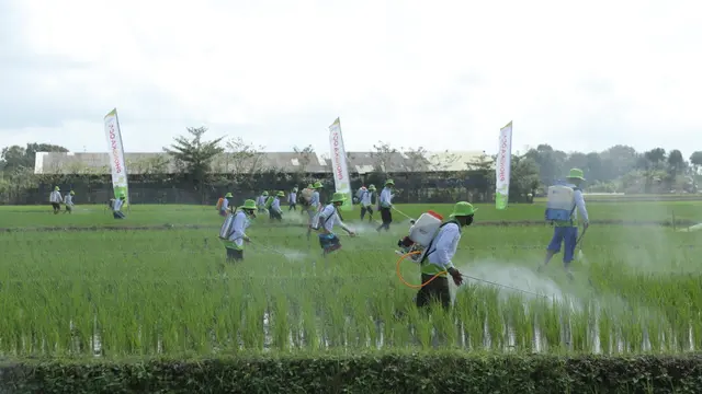 Petrokimia Gresik Dongkrak Produksi Pupuk image 7