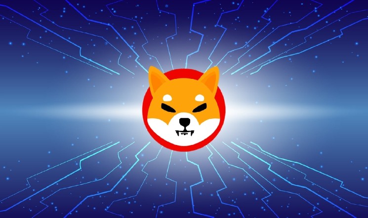 50 Billion Shiba Inu (SHIB) in 24 Hours: Bulls Are in Control of Netflows image 1
