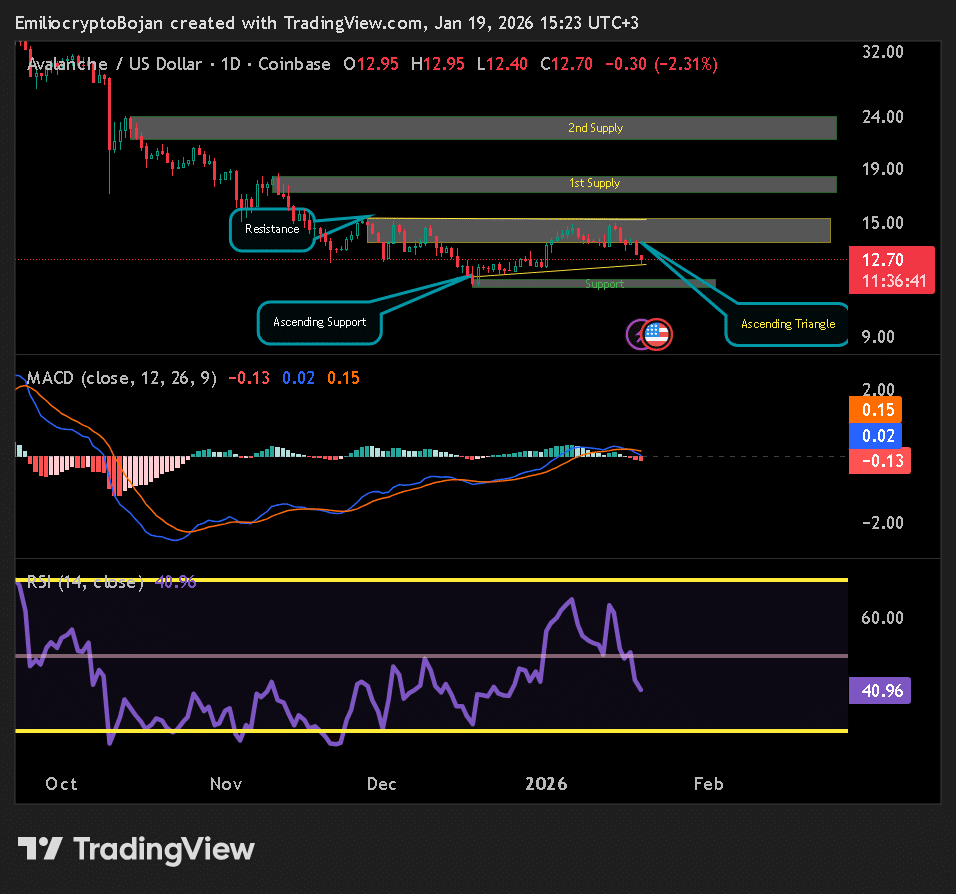 Avalanche bảo vệ hỗ trợ KEY: Tại sao các nhà giao dịch AVAX theo dõi mốc $18 tiếp theo image 3
