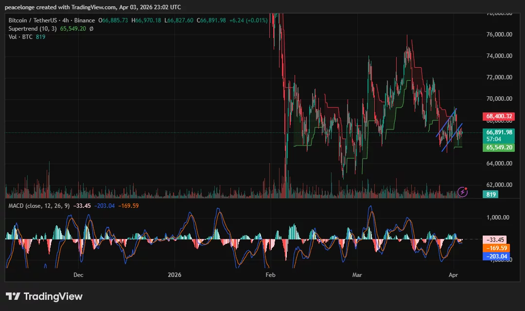  Is Bitcoin price forming a bear flag at $66,900 as its daily MACD reaches its deepest negative reading in months? 