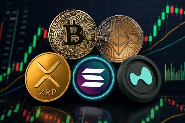 Is a “Relief Rally” Coming for Bitcoin and Altcoins? Exclusive Insights on BTC, ETH, XRP, SOL, and HYPE Are Here—The Most Striking Data Comes...