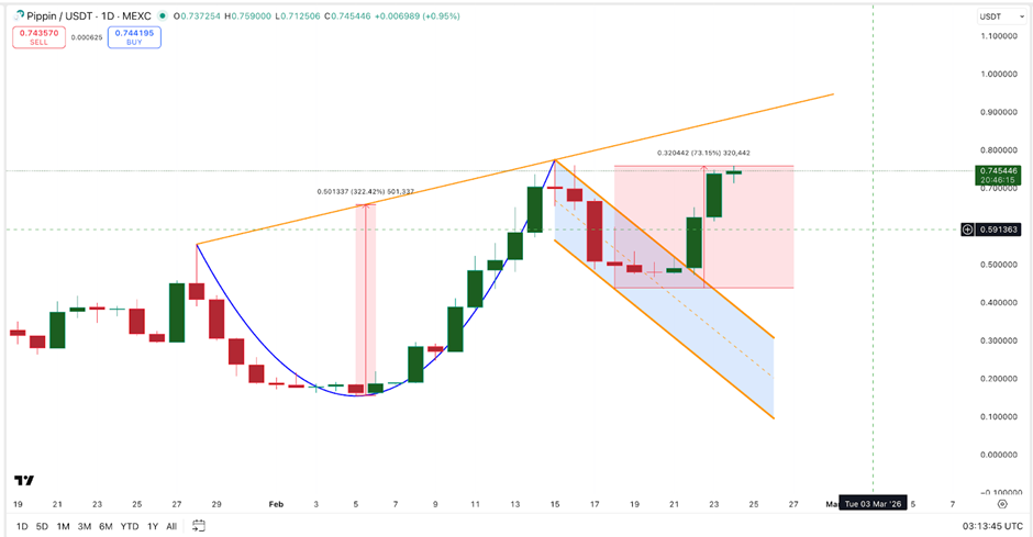 توقعات أسعار بيبين تُشير إلى اختراق بنسبة 300% مع ارتفاع الأموال الذكية image 0