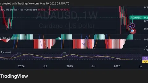 Cardano Faces a Strange Setup: Possible ADA ETF Approval; Weak Price Action