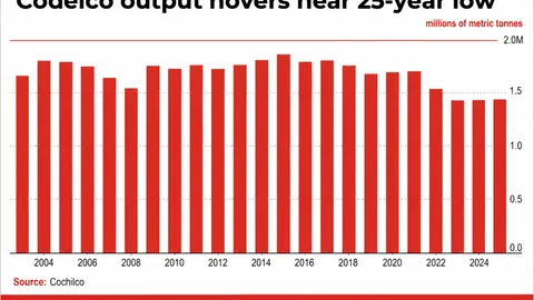 Codelco output questioned over 20,000-tonne gap