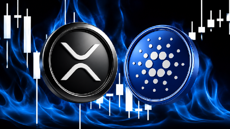 Experienced Analyst Claims There Is a Bullish Signal for Cardano (ADA) and Ripple (XRP) image 1